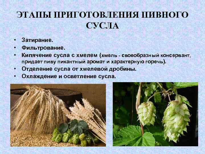 ЭТАПЫ ПРИГОТОВЛЕНИЯ ПИВНОГО СУСЛА • Затирание. • Фильтрование. • Кипячение сусла с хмелем (хмель