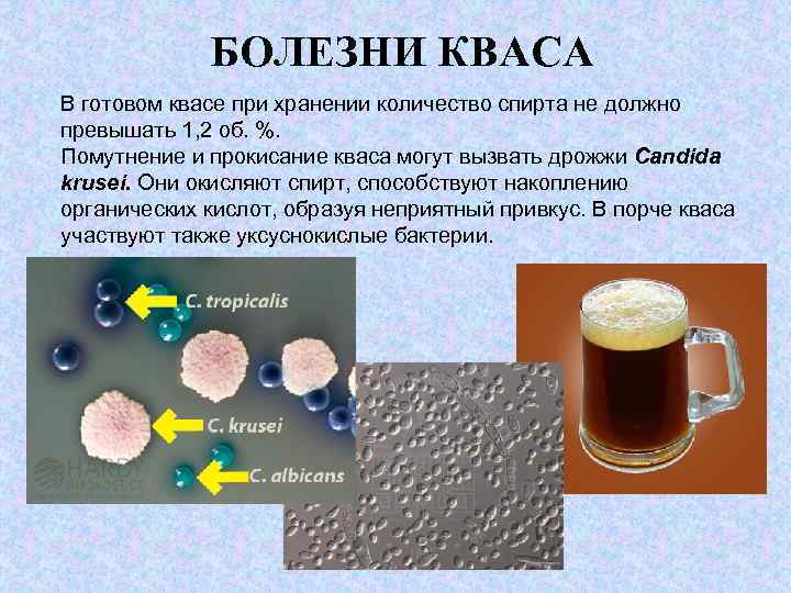 Уксуснокислое брожение презентация