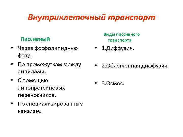 Внутриклеточный транспорт Пассивный • Через фосфолипидную фазу. • По промежуткам между липидами. • С
