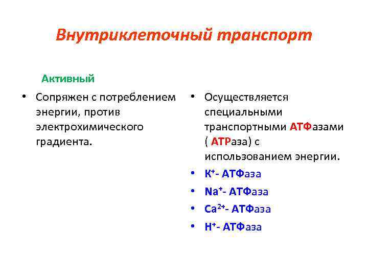 Внутриклеточный транспорт Активный • Сопряжен с потреблением • Осуществляется энергии, против специальными электрохимического транспортными