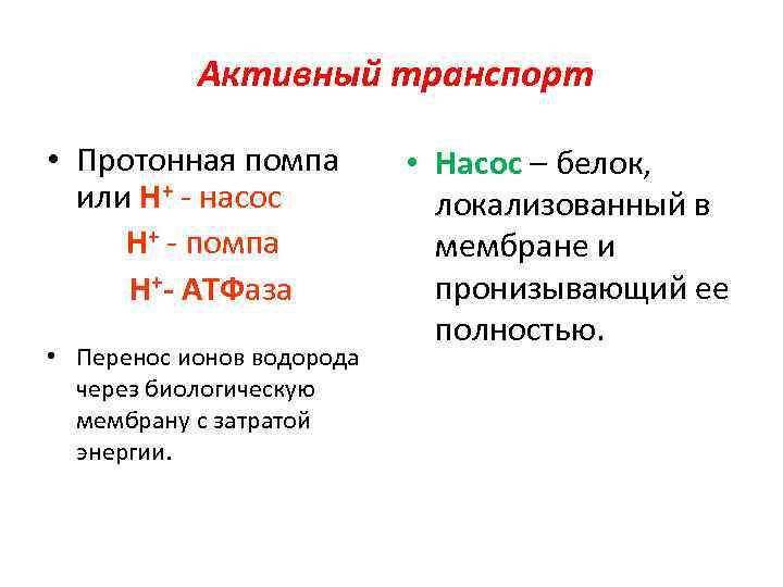 Активный транспорт • Протонная помпа или Н+ - насос Н+ - помпа H+- АТФаза