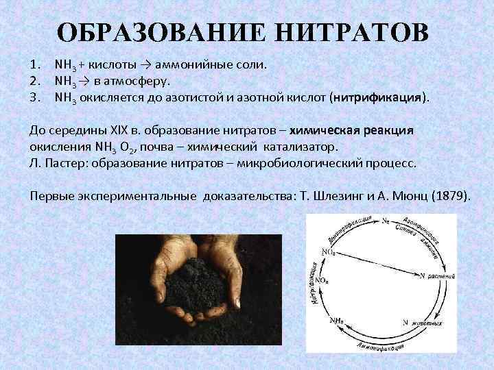 ОБРАЗОВАНИЕ НИТРАТОВ 1. NH 3 + кислоты → аммонийные соли. 2. NH 3 →