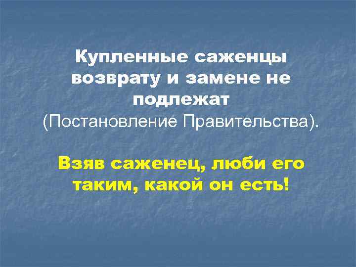 Купленные саженцы возврату и замене не подлежат (Постановление Правительства). Взяв саженец, люби его таким,