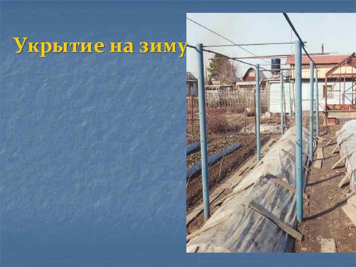 Укрытие на зиму 