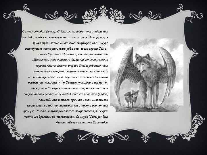 Симург обладал функцией благого покровителя отдельных людей и особенно человеческих коллективов. Эта функция ярко
