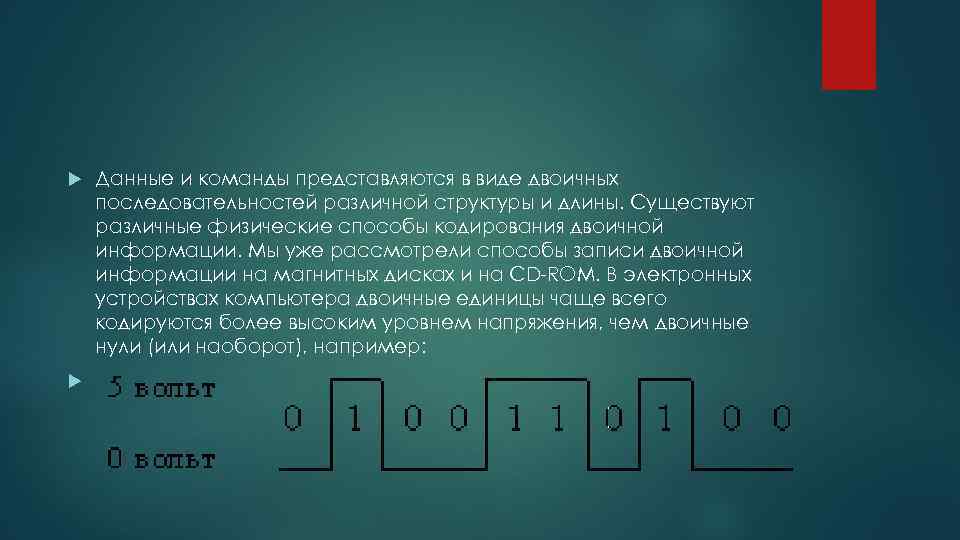  Данные и команды представляются в виде двоичных последовательностей различной структуры и длины. Существуют