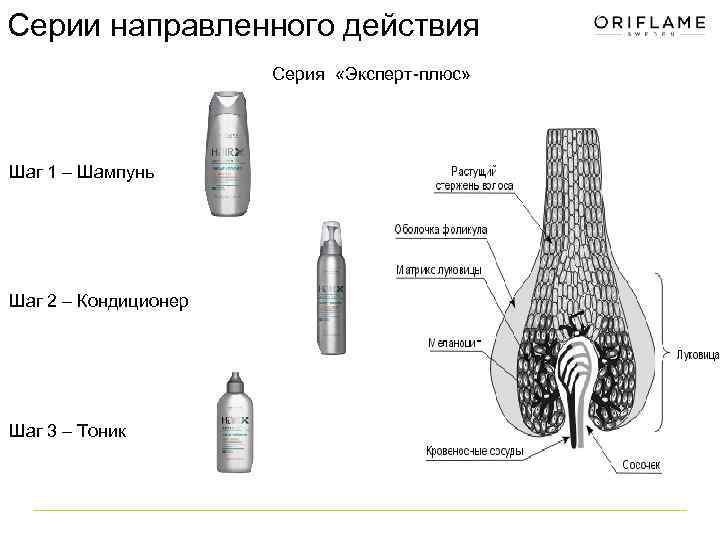 Серии направленного действия Серия «Эксперт плюс» Шаг 1 – Шампунь Шаг 2 – Кондиционер