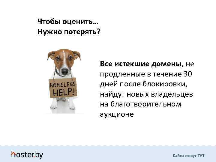 Чтобы оценить… Нужно потерять? Все истекшие домены, не продленные в течение 30 дней после
