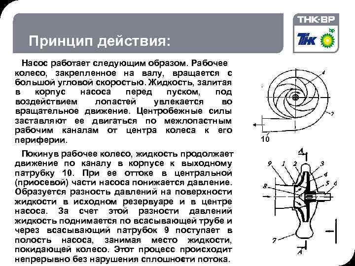 06. 02. 2018 © THK-BP presentation name Принцип действия: Насос работает следующим образом. Рабочее