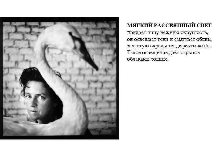 МЯГКИЙ РАССЕЯННЫЙ СВЕТ придает лицу нежную округлость, он освещает тени и смягчает облик, зачастую