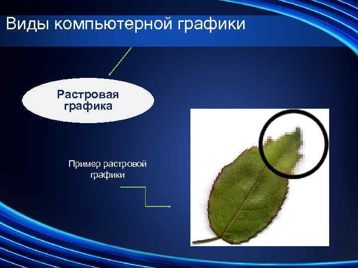 Виды компьютерной графики Растровая графика Пример растровой графики 