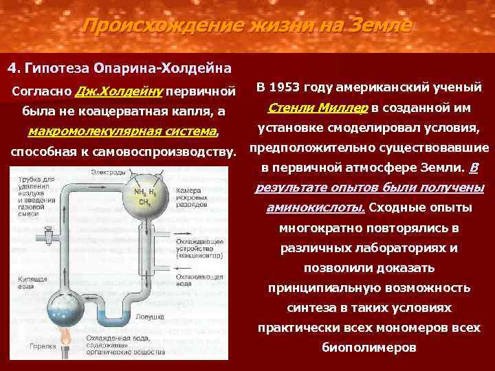 Этапы зарождения жизни опарина первичный бульон