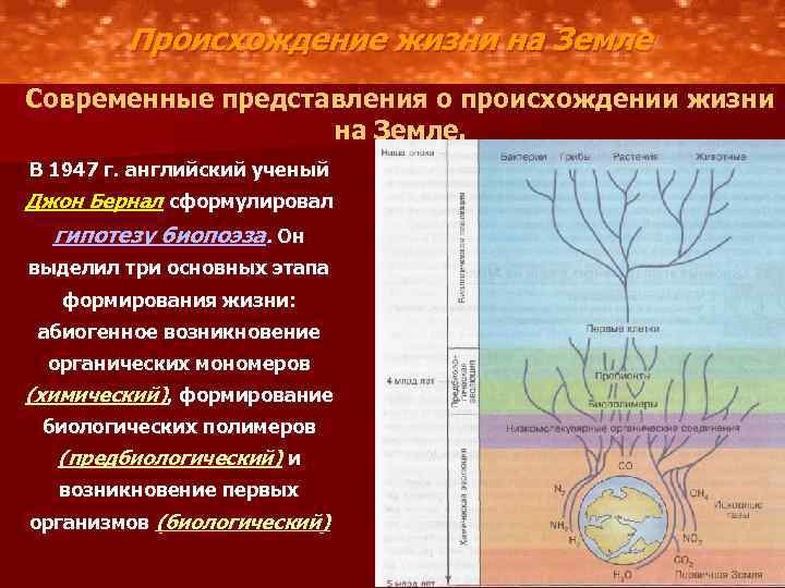 Современные представления о зарождении жизни проект