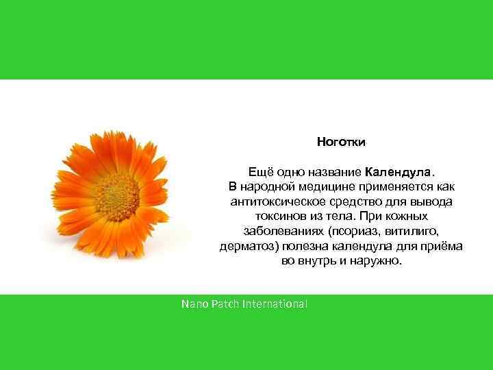 Ноготки Ещё одно название Календула. В народной медицине применяется как антитоксическое средство для вывода