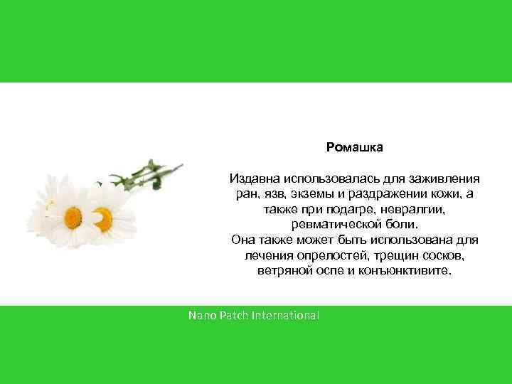 Ромашка Издавна использовалась для заживления ран, язв, экземы и раздражении кожи, а также при