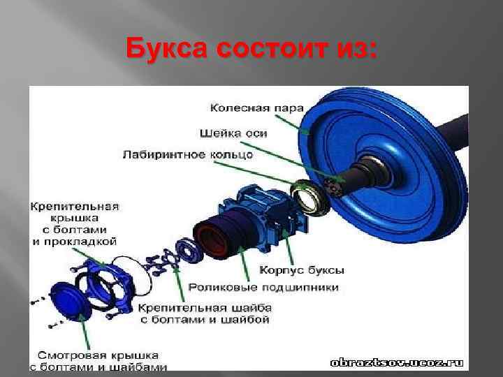 Букса состоит из: 