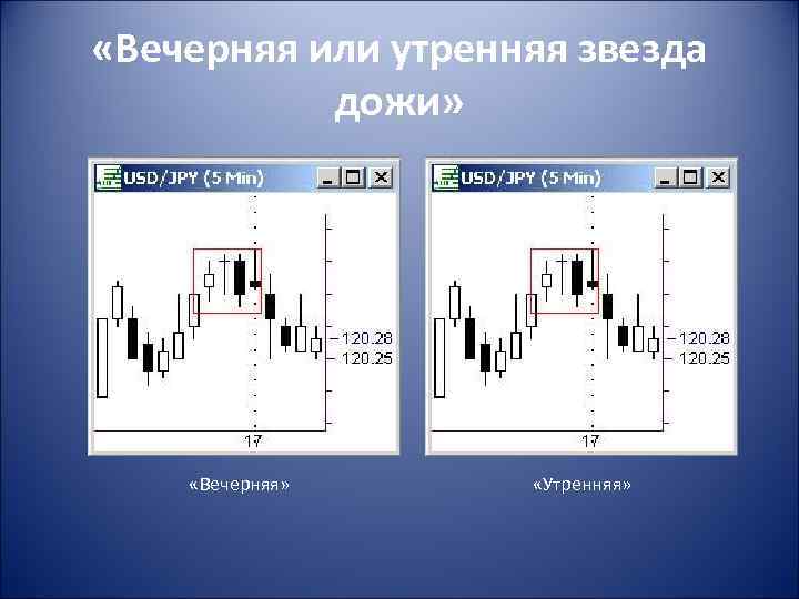  «Вечерняя или утренняя звезда дожи» «Вечерняя» «Утренняя» 