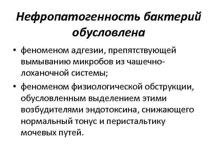 Нефропатогенность бактерий обусловлена • феном адгезии, препятствующей вымыванию микробов из чашечнолоханочной системы; • феном