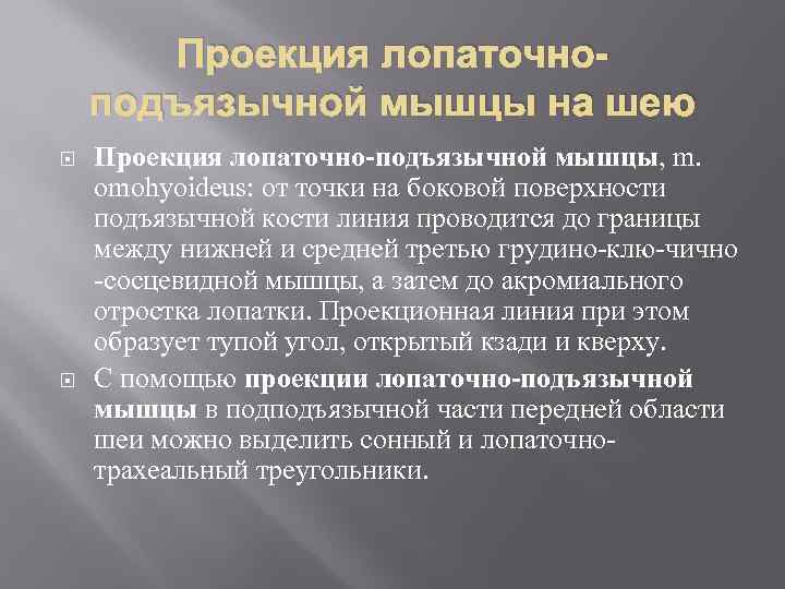 Проекция лопаточноподъязычной мышцы на шею Проекция лопаточно-подъязычной мышцы, m. omohyoideus: от точки на боковой