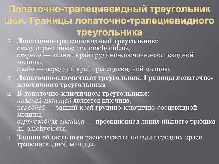 Лопаточно-трапециевидный треугольник шеи. Границы лопаточно-трапециевидного треугольника Лопаточно-трапециевидный треугольник: снизу ограничивает m. omohyoideus, спереди —