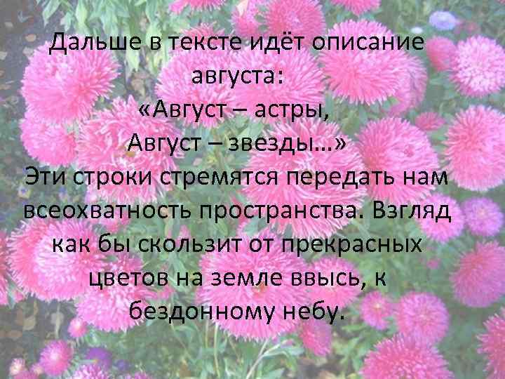 Описание идет. Август звезды август астры Цветаева. Стихотворение Цветаевой август астры. Август астры Цветаева астры стих. Марина Цветаева стихи август астры.