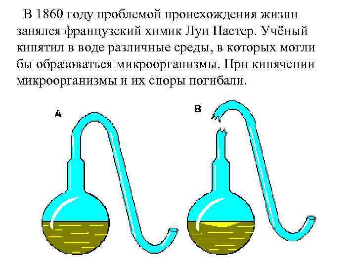 В 1860 году проблемой происхождения жизни занялся французский химик Луи Пастер. Учёный кипятил в