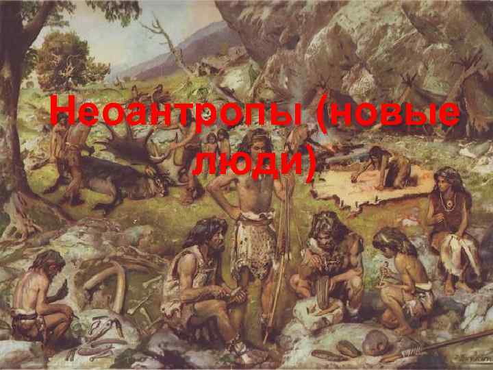 Неоантропы (новые люди) 