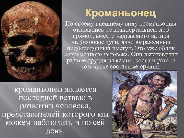 Кроманьонец По своему внешнему виду кроманьонцы отличались от неандертальцев: лоб прямой, вместо надглазного валика