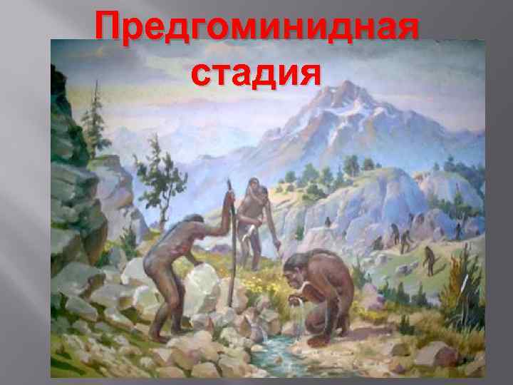 Предгоминидная стадия 