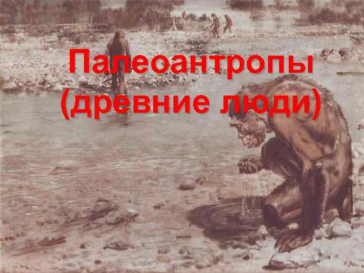Палеоантропы (древние люди) 