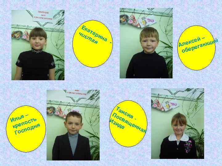 Ек а чи тер ст ин ая а - – лья сть И по