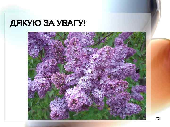 ДЯКУЮ ЗА УВАГУ! 73 