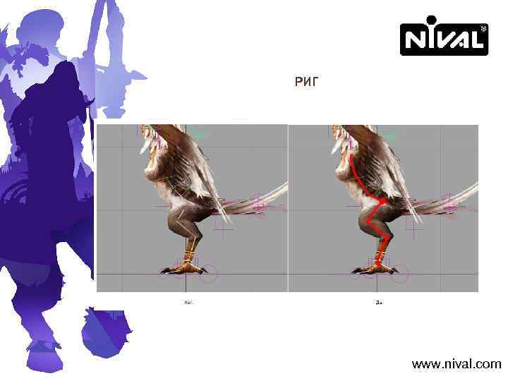 РИГ www. nival. com 