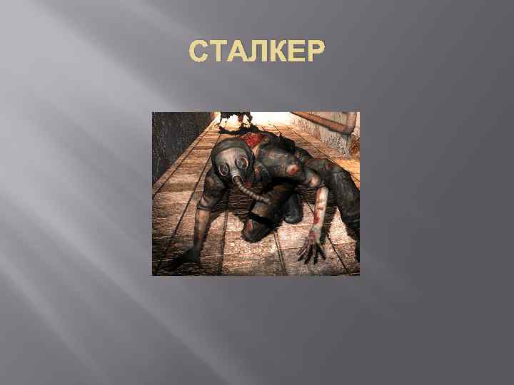 СТАЛКЕР 