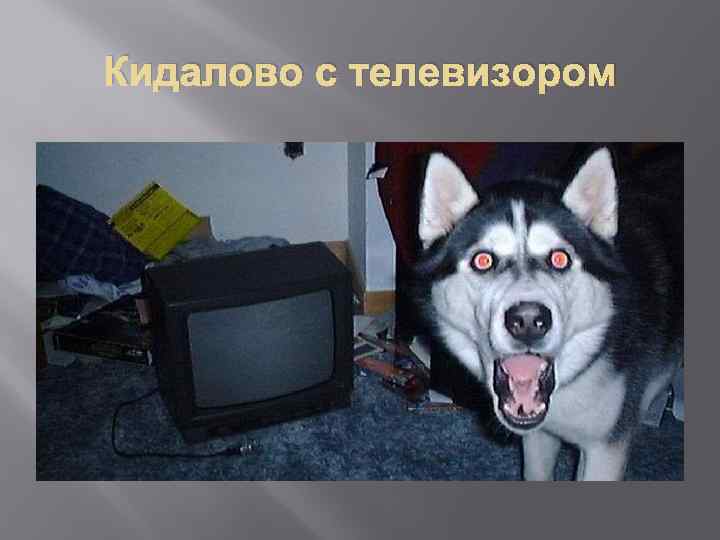 Кидалово с телевизором 