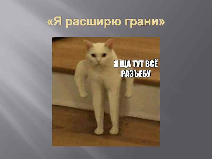  «Я расширю грани» 