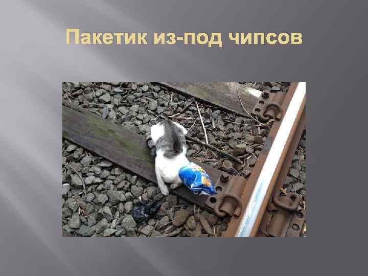 Пакетик из-под чипсов 