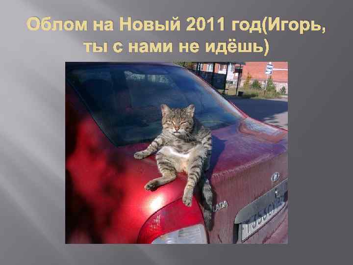 Облом на Новый 2011 год(Игорь, ты с нами не идёшь) 