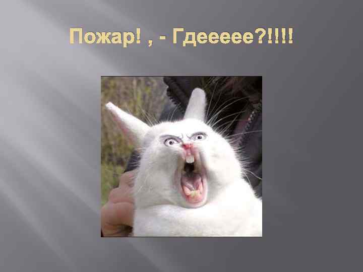 Пожар! , - Гдеееее? !!!! 