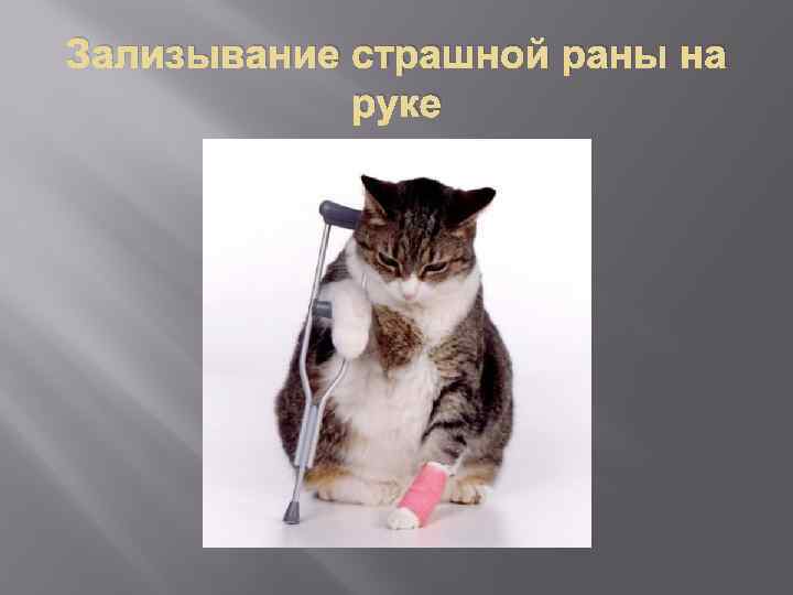 Зализывание страшной раны на руке 