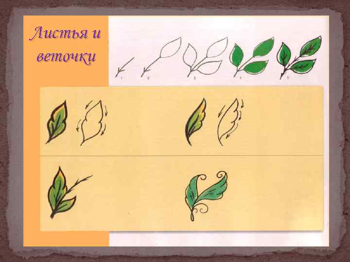 Листья и веточки 