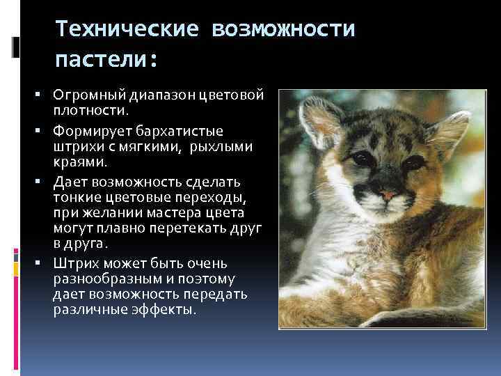 Технические возможности пастели: Огромный диапазон цветовой плотности. Формирует бархатистые штрихи с мягкими, рыхлыми краями.