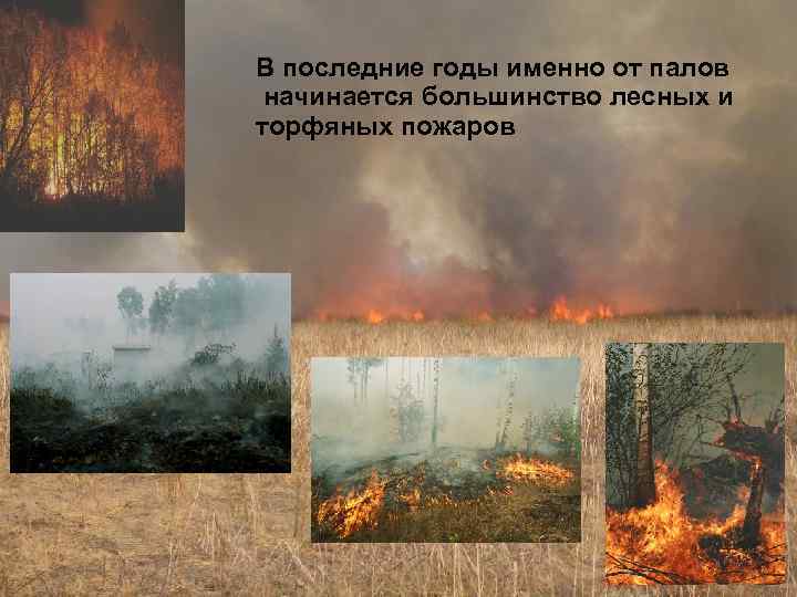 В последние годы именно от палов начинается большинство лесных и торфяных пожаров 