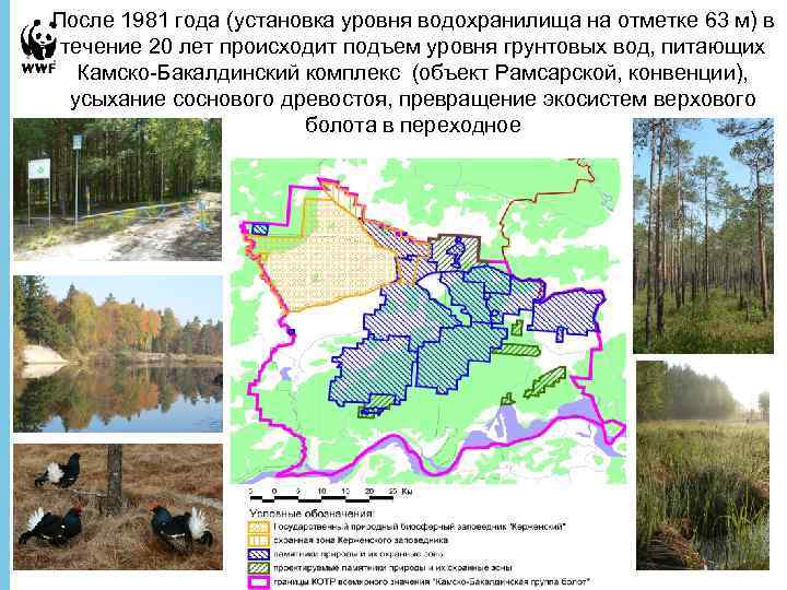 После 1981 года (установка уровня водохранилища на отметке 63 м) в течение 20 лет