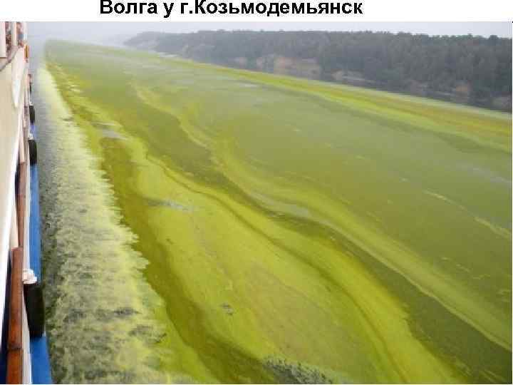 Волга у г. Козьмодемьянск 