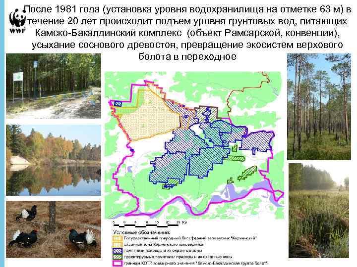 После 1981 года (установка уровня водохранилища на отметке 63 м) в течение 20 лет