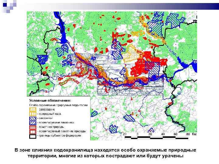 В зоне влияния водохранилища находятся особо охраняемые природные территории, многие из которых пострадают или