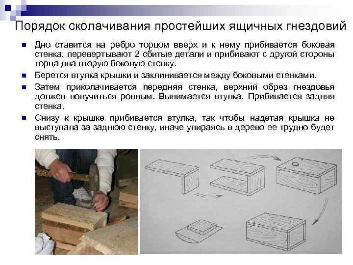 Порядок сколачивания простейших ящичных гнездовий n n Дно ставится на ребро торцом вверх и
