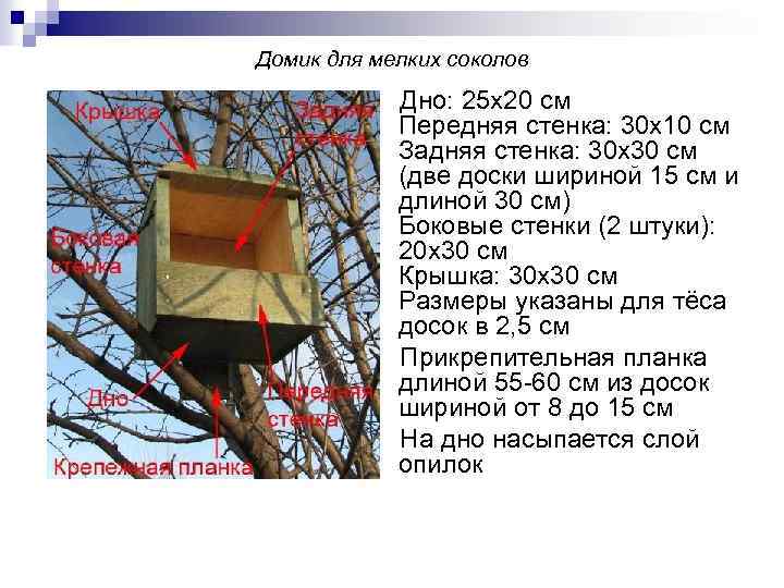 Домик для мелких соколов Дно: 25 х20 см Передняя стенка: 30 х10 см Задняя