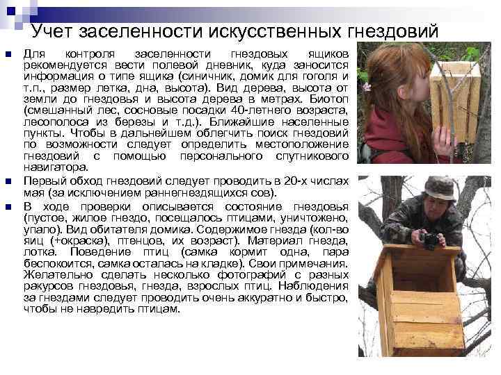 Учет заселенности искусственных гнездовий n n n Для контроля заселенности гнездовых ящиков рекомендуется вести